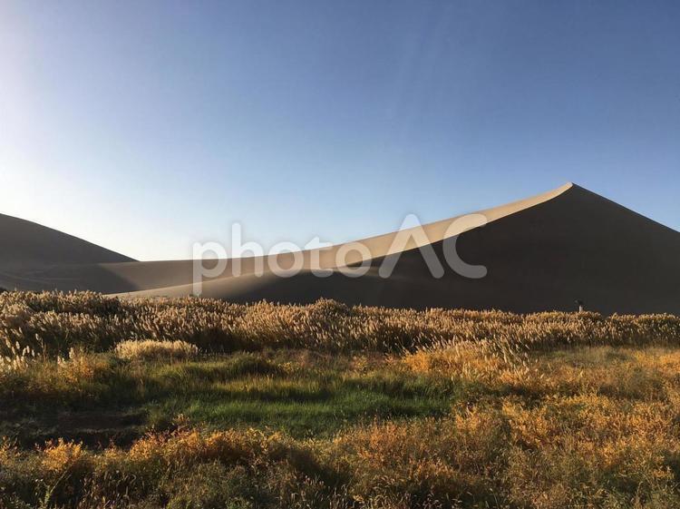 暮れ始めの砂漠 砂漠,砂地,敦煌の写真素材