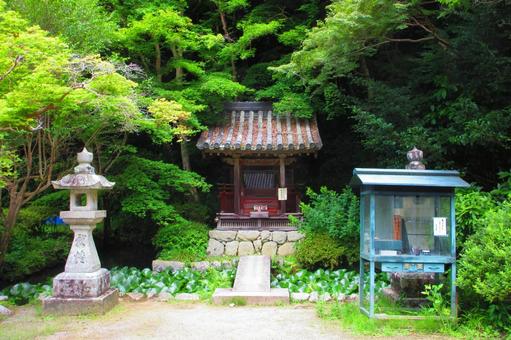 大阪府-観心寺-弁天堂 大阪府-観心寺-弁天堂の写真