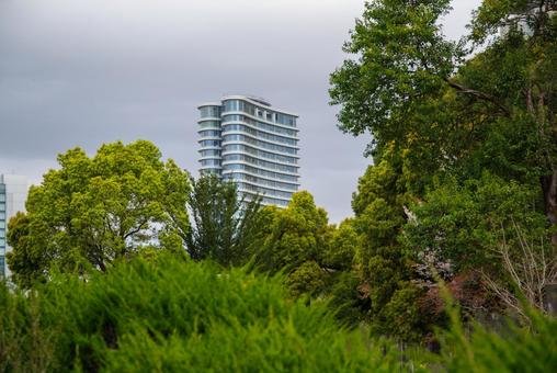 鮮やかな緑になった樹木と都市風景 鮮やかな緑になった樹木と都市風景の写真