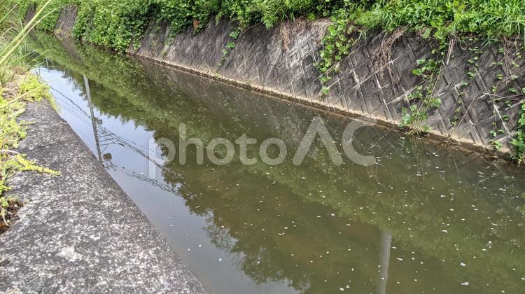 汚れた水の河川風景 河川,水路,水流の写真素材