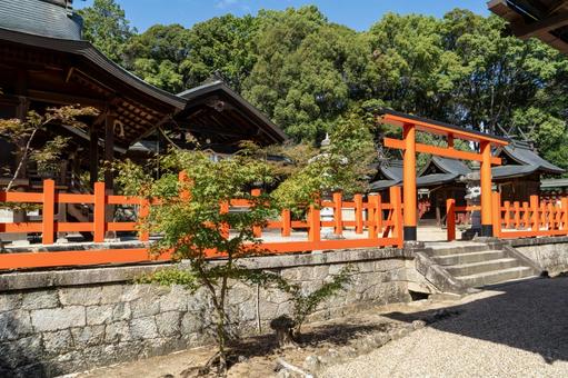 奈良 龍田大社 祝詞殿と摂社 奈良 龍田大社 祝詞殿と摂社 龍田大社,龍田,大社の写真素材