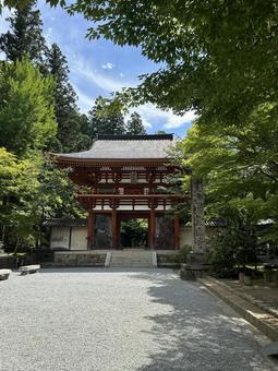室生寺山門 初夏 室生寺山門 初夏の写真