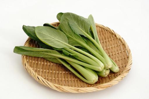 小松菜 小松菜,コマツナ,野菜の写真素材