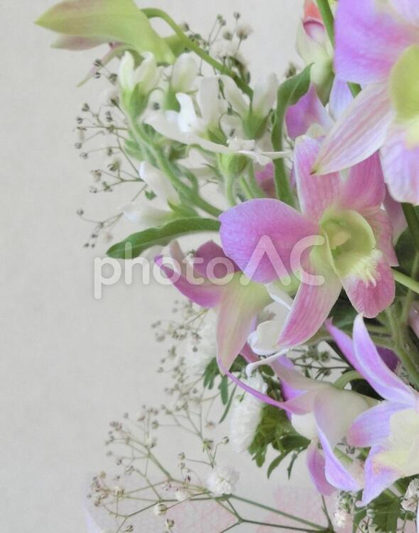 デンファレの落ち着いた花束 花束,デンファレ,白の写真素材
