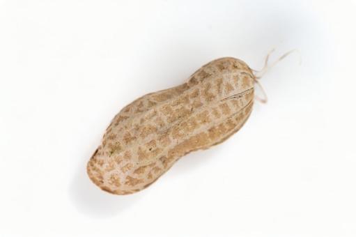 Shelled peanuts on a white background, JPG