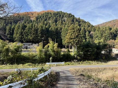 11月　秋の福井県坂井市山奥の景色 秋,ハイキング,山並みの写真素材
