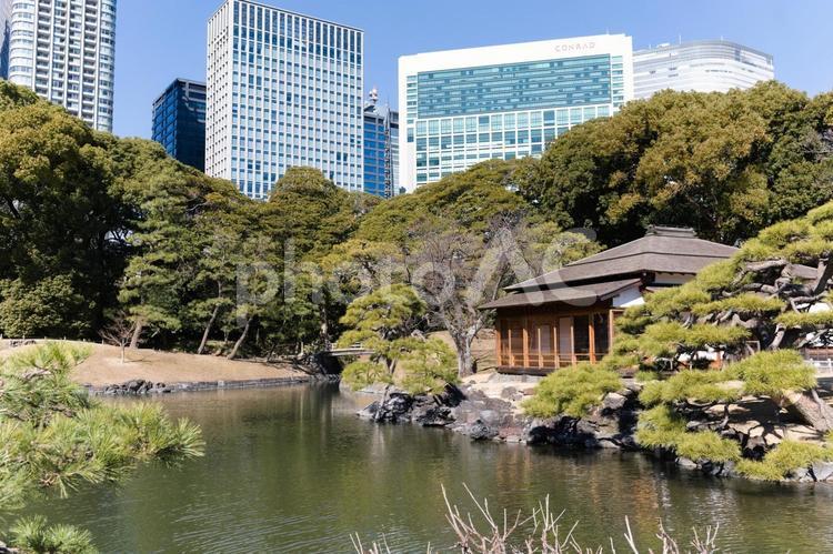 浜離宮恩賜庭園の日本庭園と東京のビル群 日本庭園,浜離宮恩賜庭園,池の写真素材