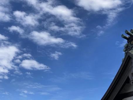 空 空の写真