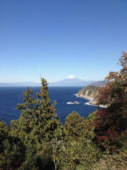 富士山 富士山の写真