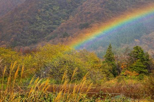 虹(14) 虹,七色,山の写真素材