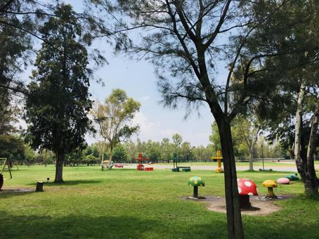メキシコの公園 メキシコの公園 風景,自然,リフレッシュの写真素材