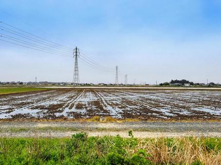 茨城県東茨城郡大洗町 水を張り始めた水田 茨城県東茨城郡大洗町 水を張り始めた水田の写真