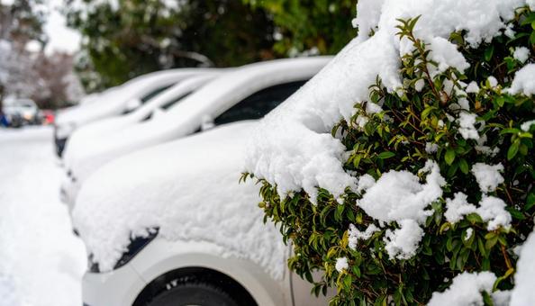 大雪が降った日の翌日の雪が積もった自動車 大雪が降った日の翌日の雪が積もった自動車の写真