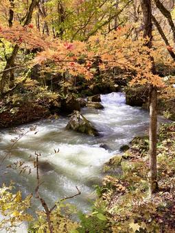秋の空間の写真