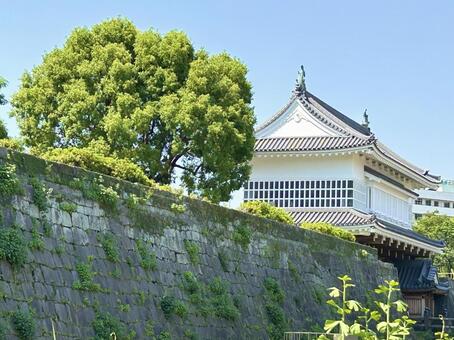 鹿児島城御楼門と歴史の面影を残す石垣 鹿児島,鹿児島市,鹿児島城の写真素材
