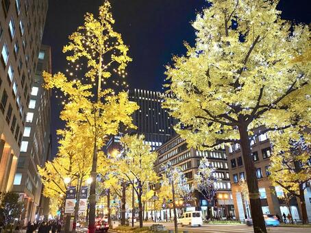 クリスマスの御堂筋 大阪,キタ,月の写真素材
