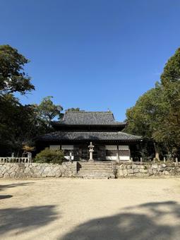  観世音寺(福岡　太宰府市) 木,旧跡,観世音寺の写真素材