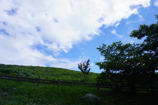 自然の風景 自然の風景の写真