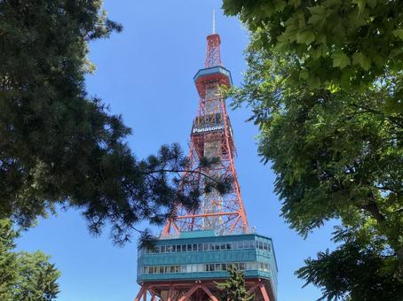 TV tower peeking through the trees, JPG TV tower peeking through the trees, JPG