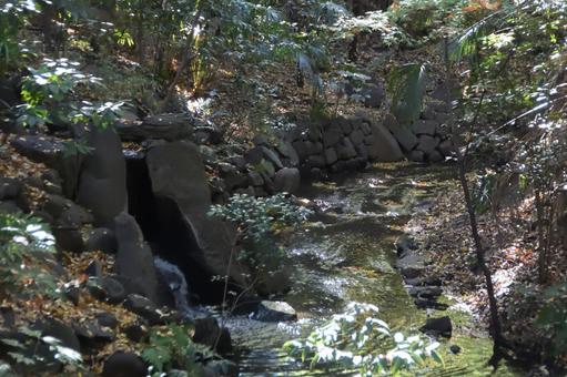 小石川後楽園の風景 小石川後楽園,東京都,自然の写真素材