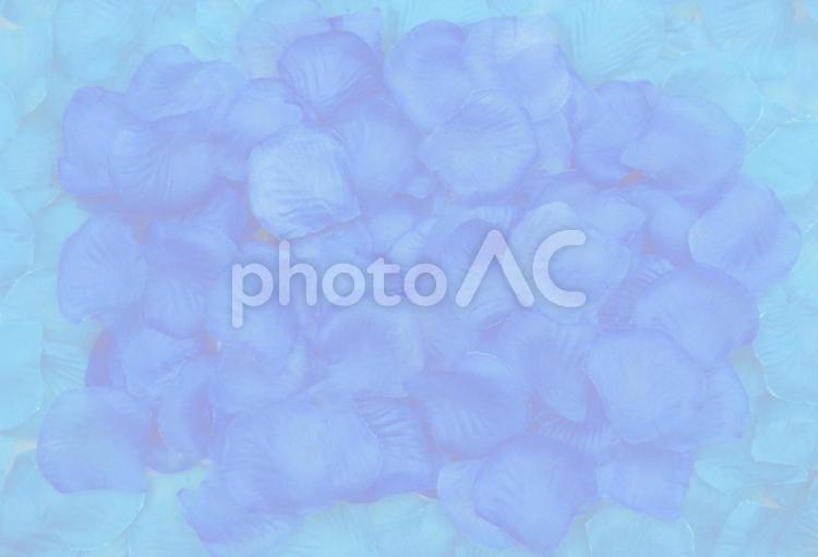 青い紫陽花のレター素材（グラデーション） 紫陽花,レター,手紙の写真素材