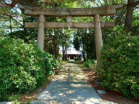 住吉神社(播磨町大中1丁目) 住吉神社(播磨町大中1丁目)の写真