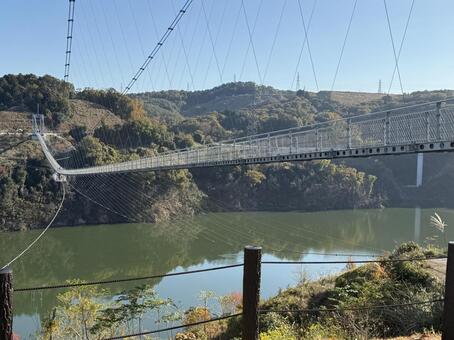ダムと紅葉と橋 ダム,紅葉,もみじの写真素材