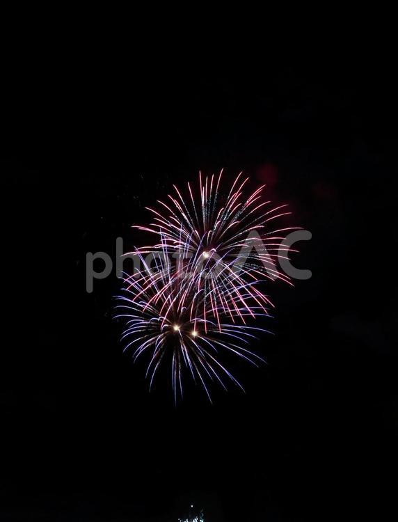 浦富海岸の夜空に上がるバルブ撮影の花火 花火,花火大会,バルブ撮影の写真素材
