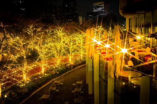 街路樹の夜景イルミネーション イルミネーション,光,街路樹の写真素材