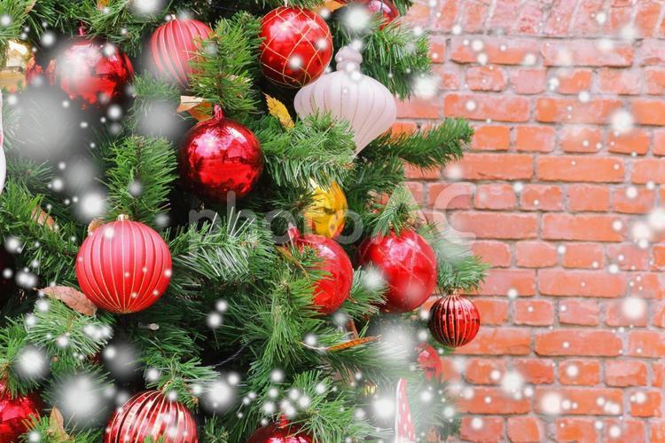クリスマスの背景 クリスマス,クリスマスツリー,冬の写真素材
