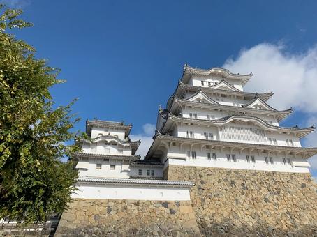 【世界遺産】青空に映える姫路城 【世界遺産】青空に映える姫路城 姫路城,世界遺産,世界文化遺産の写真素材