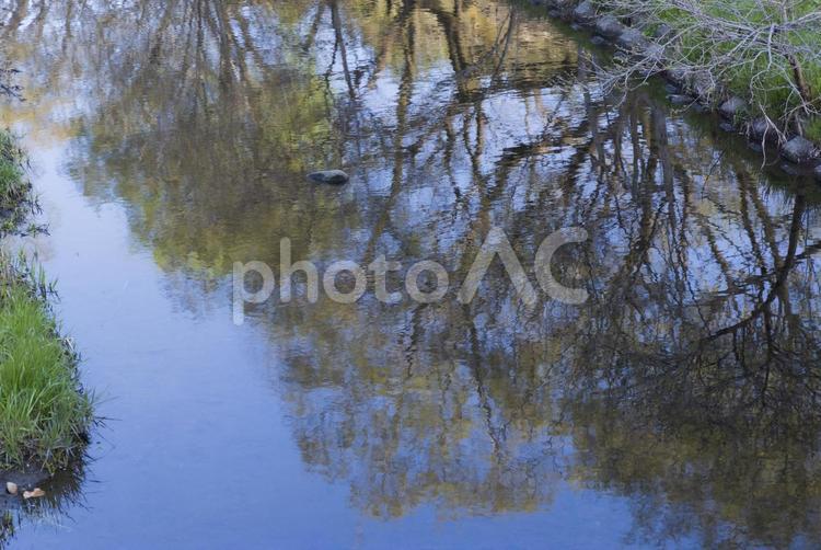 川面の映り込み風景・遊歩道 川,河川,写り込みの写真素材