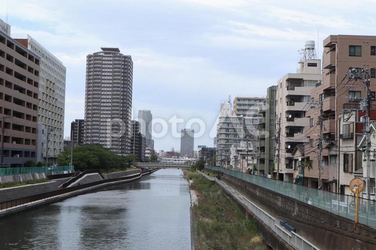 亀戸　街並み 亀戸,街並み,東京都の写真素材