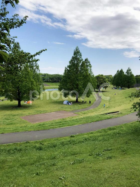 夏の公園 ＃公園,＃公園ピクニック,＃夏の公園の写真素材