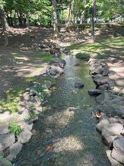 北海道の公園にて(札幌市内) 北海道の公園にて(札幌市内) 北海道,公園,自然の写真素材