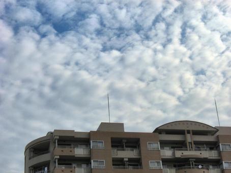 五月の雲-155 五月の雲,青空,空の写真素材
