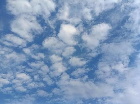 秋のひつじ雲 秋,雲,青空の写真素材