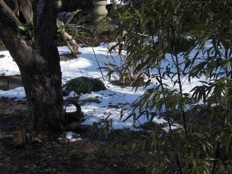 Snow Garden, JPG