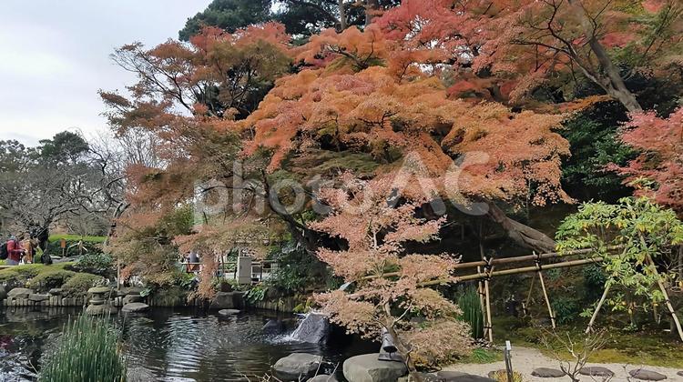 空きの風景 神奈川県,鎌倉,長谷寺の写真素材