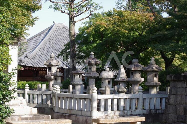 沢山の石灯籠 護国寺,裏庭,樹木の写真素材
