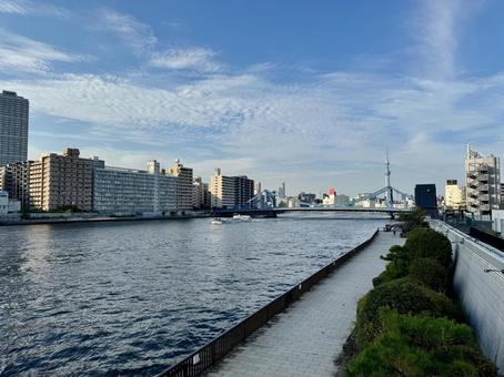 隅田川テラス　清洲橋方面 隅田川,スカイツリー,川の写真素材