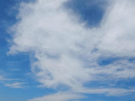 【風景写真】夏空 【風景写真】夏空の写真
