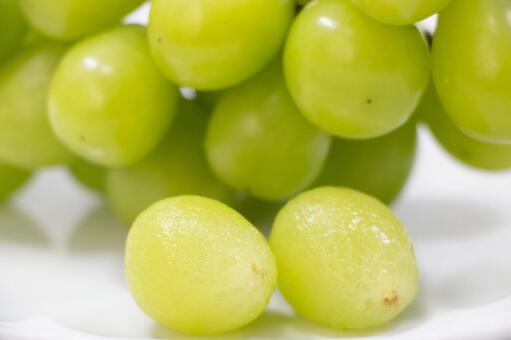 シャインマスカット シャインマスカット,マスカット,果物の写真素材