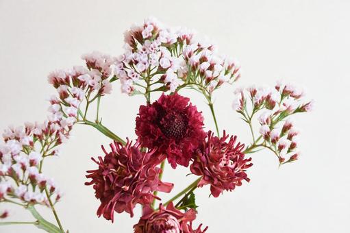 赤系の花束 赤系の花束 スターチス,赤,花の写真素材