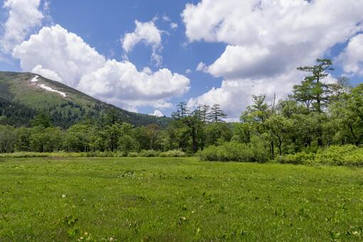 広大な尾瀬の湿原の緑と青い空 尾瀬,湿原,風景の写真素材