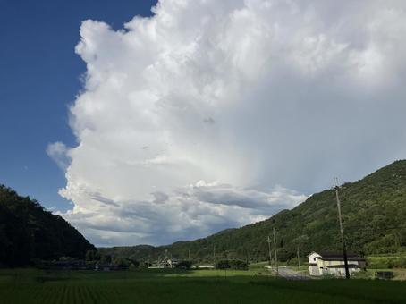 夏空 夏空の写真