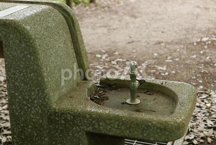 公園の水飲み場 立形水飲水栓,水飲み,公園の写真素材