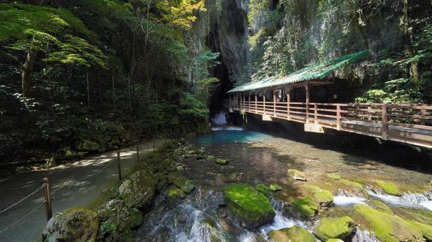 秋芳洞入口 秋芳洞入口 秋芳洞,洞窟,山口の写真素材