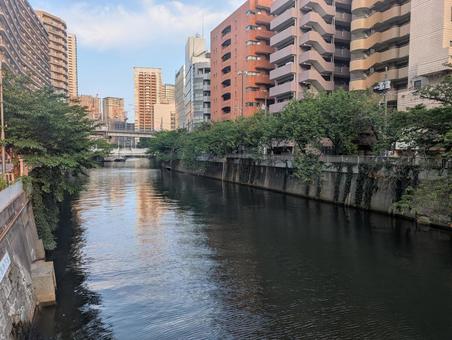 東京都会の川 東京都会の川の写真