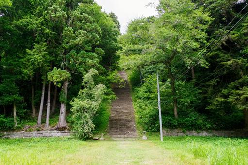 亀岡八幡宮⑷ 亀岡八幡宮⑷の写真